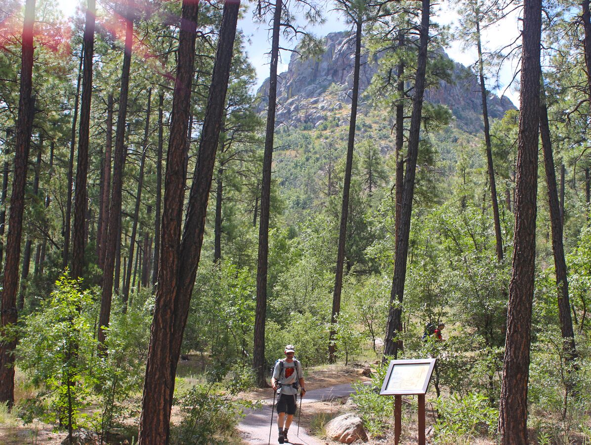 Picture of Hit The Trails