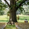 A Romantic Park Wedding and Restaurant Reception in Columbus, Ohio