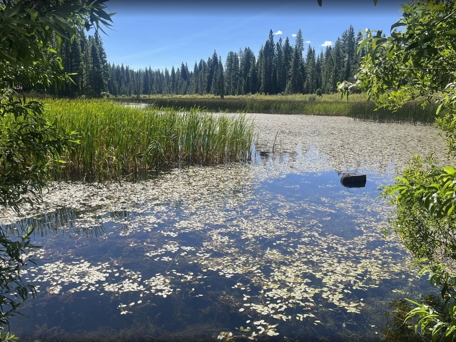 Picture of Madora Lake Loop Trail