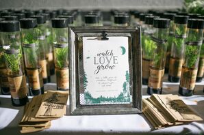 Redwood Seedling Favors