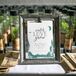Redwood Seedling Favors