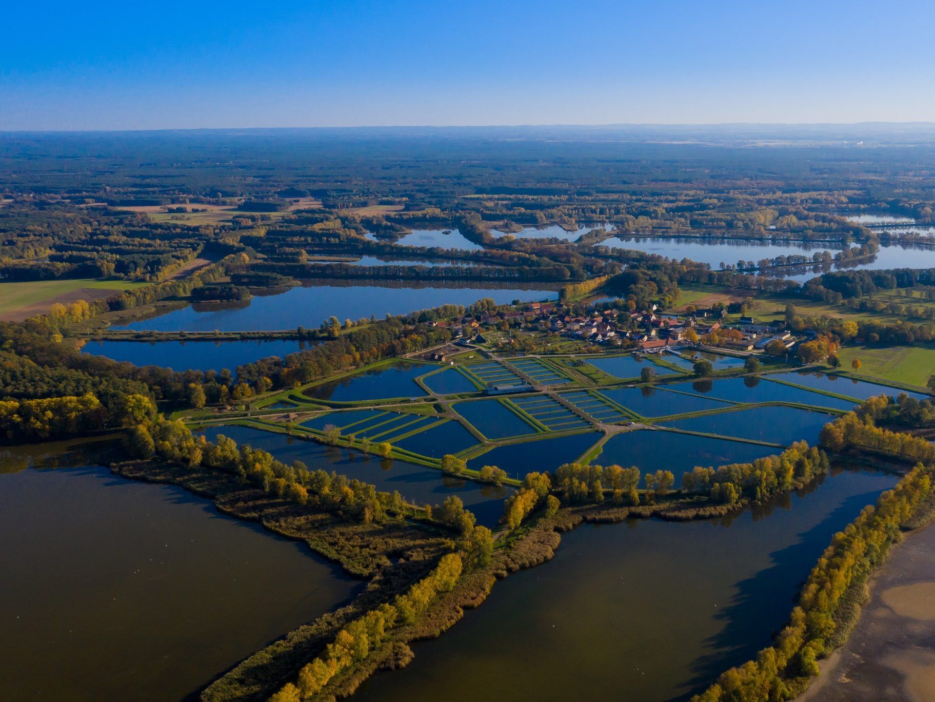 Picture of Barycz Valley Landscape Park