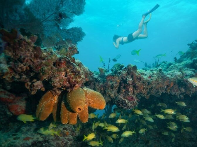 Picture of Lost Reef Adventures