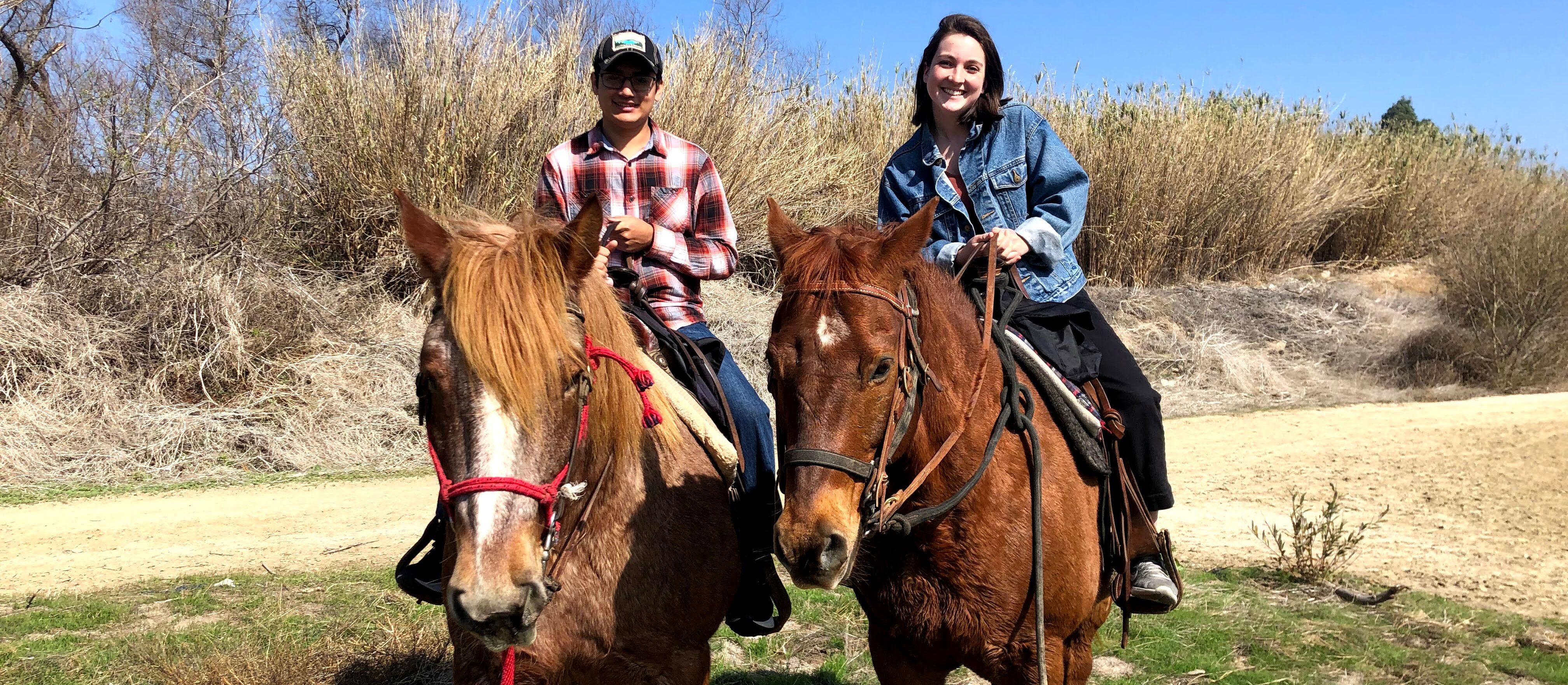 Picture of Horseback Riding