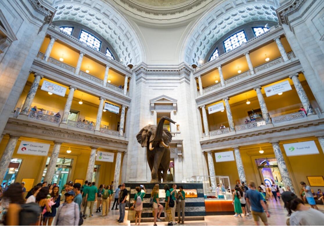 Picture of Smithsonian National Museum of Natural History