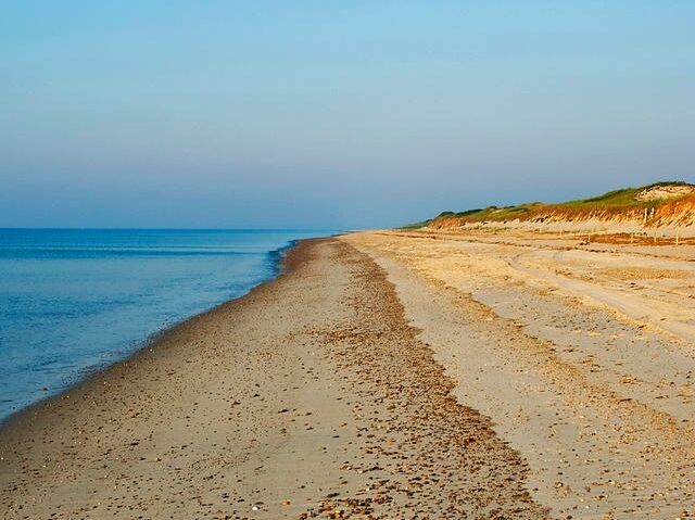 Picture of Sandy Neck Beach