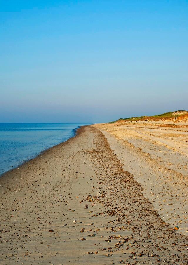 Picture of Sandy Neck Beach