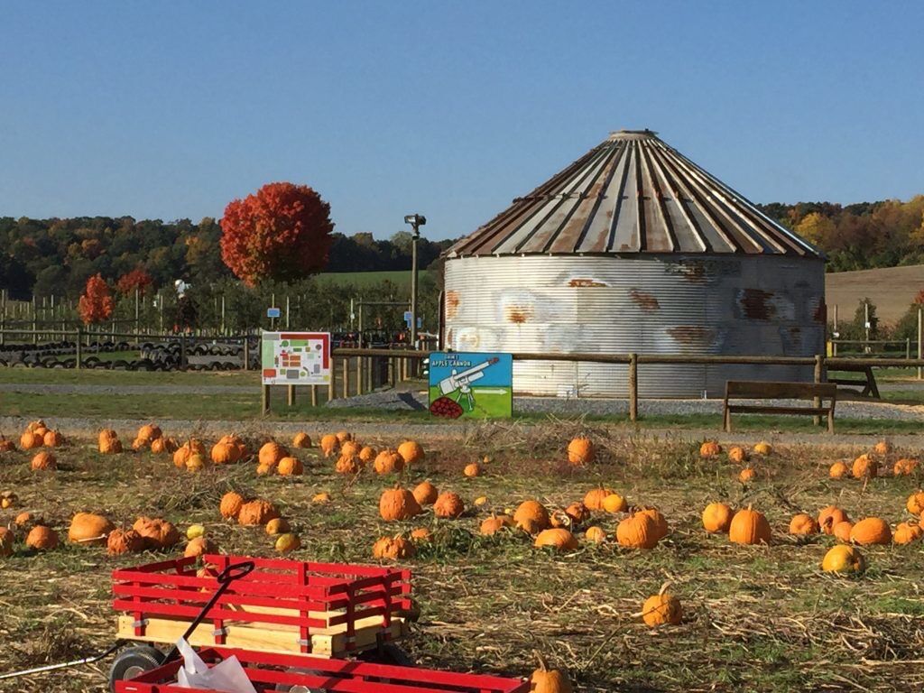 Picture of Grim's Orchard & Family Farms