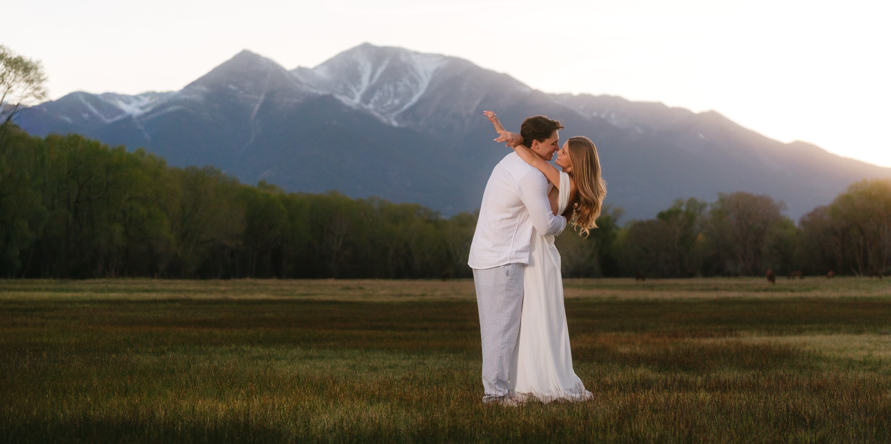 Allison & Lane Home Page Banner
