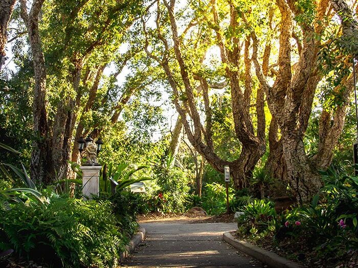 Picture of San Diego Botanic Garden