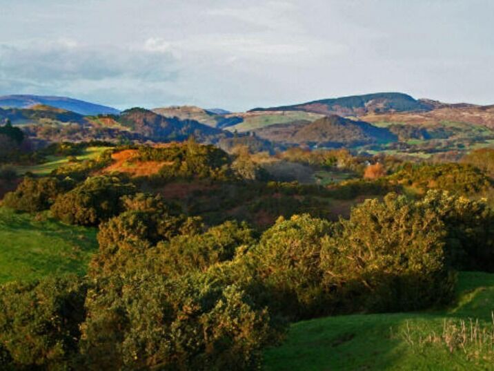 Picture of Local Walking Paths