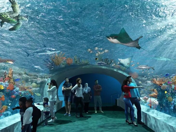 Picture of Shedd Aquarium