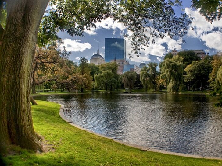Picture of Boston Common