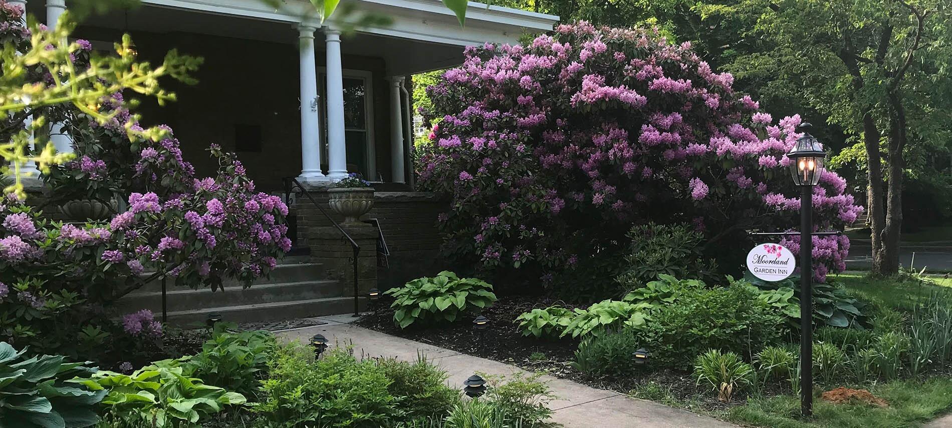 Picture of Mooreland Garden Inn