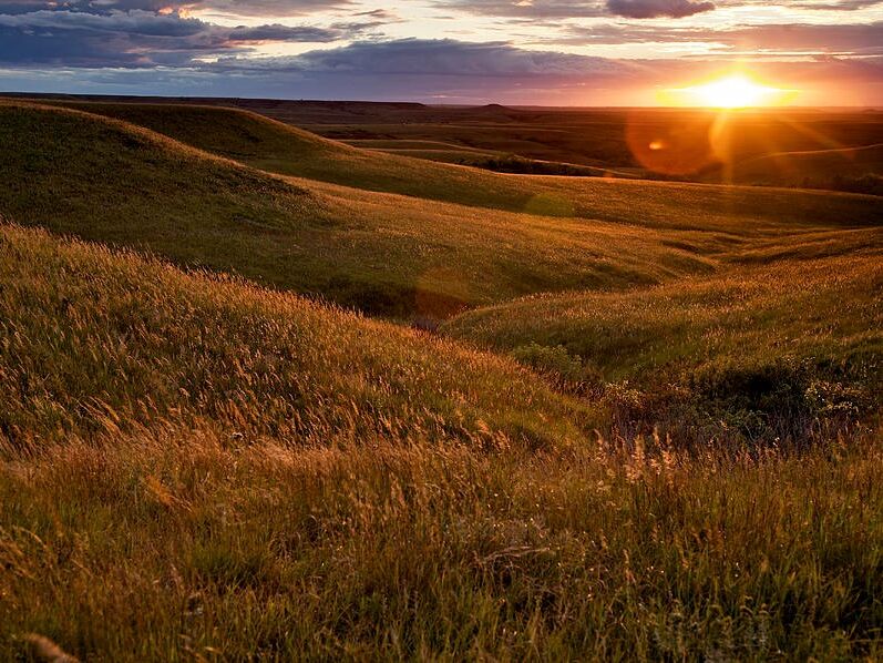 Picture of Konza Prairie Nature Trail (AJ's Favorite)