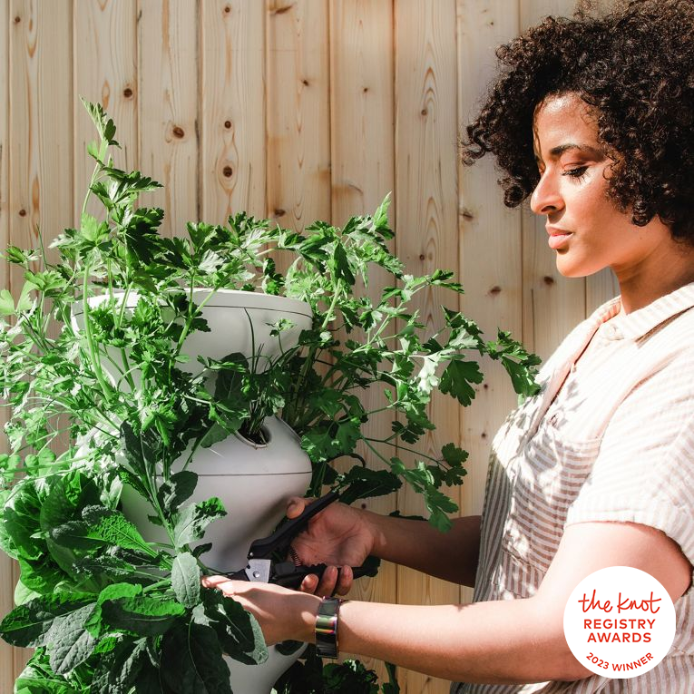 Lettuce Grow Farm Stand With Seedlings for your wedding registry