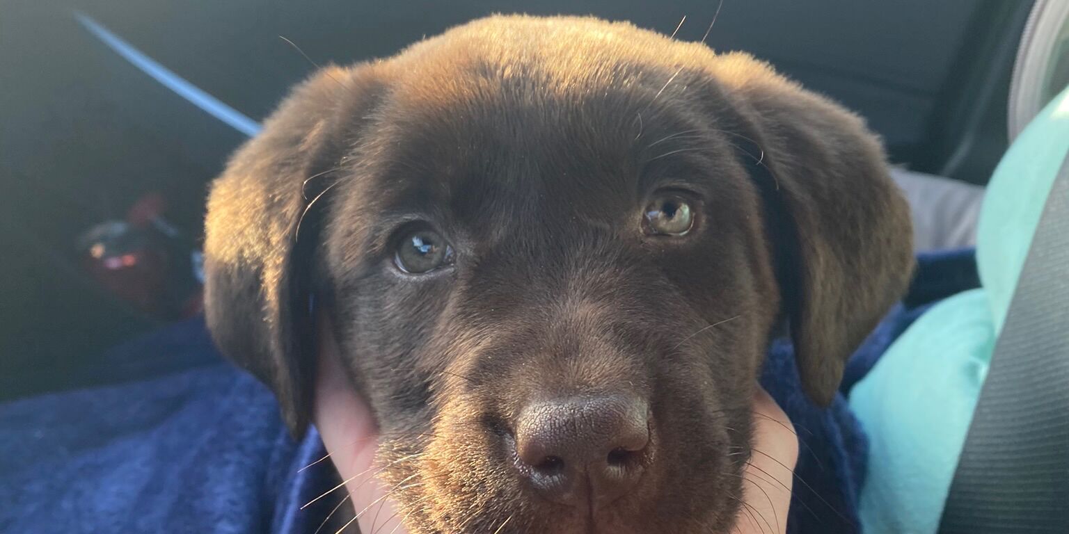 Picture of Ivy!