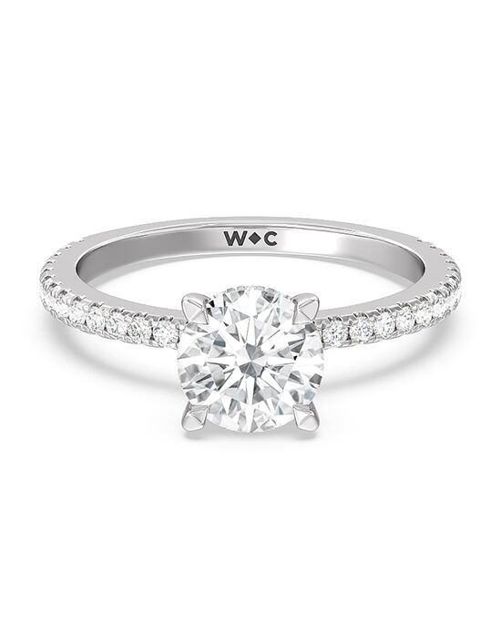 With Clarity Glamorous Princess, Cushion, Emerald, Radiant, Round, Oval Cut Engagement Ring - 1