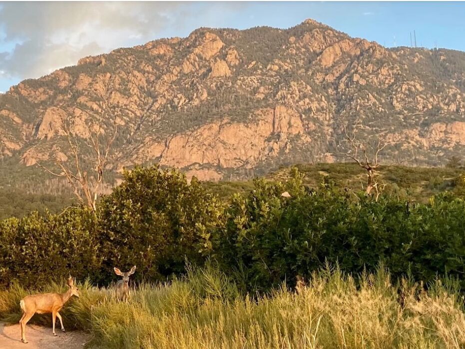 Picture of Cheyenne Mountain State Park