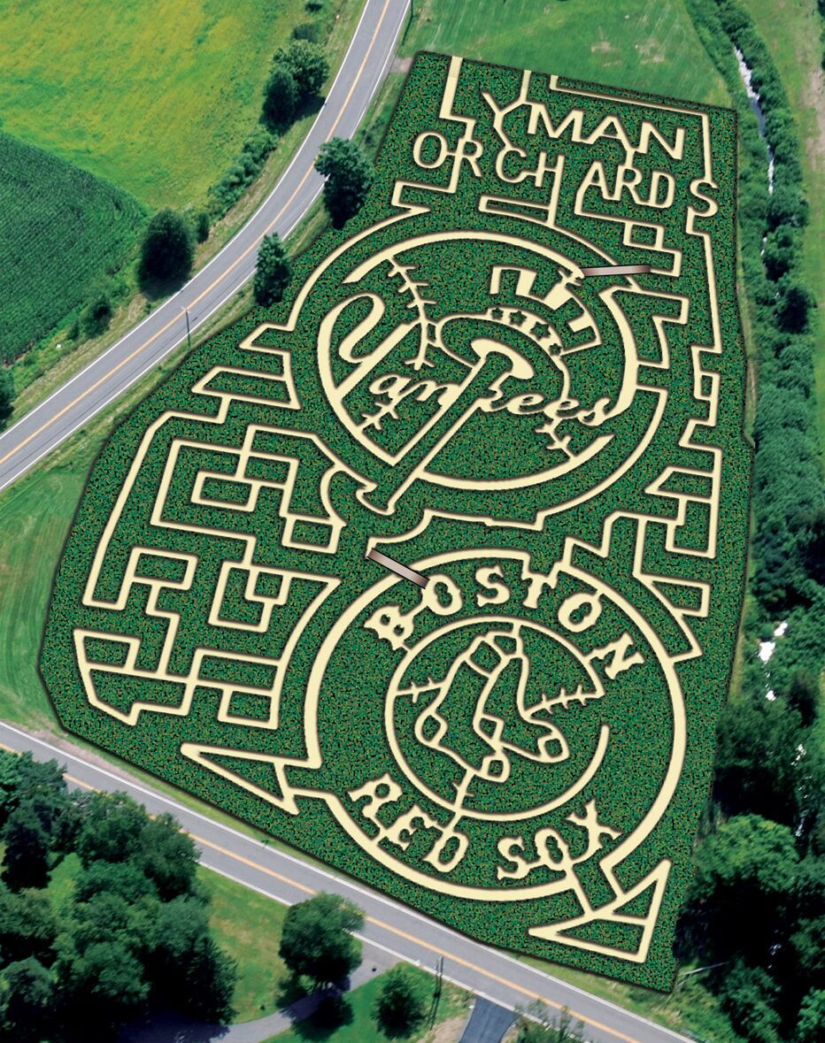 Picture of Lyman Orchards 