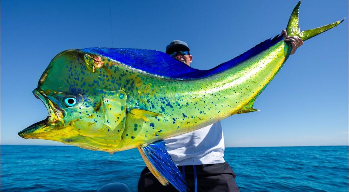 Picture of Deep Sea Fishing 