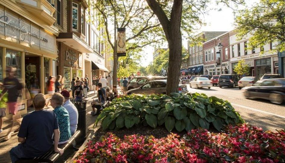 Picture of Shopping in Downtown Holland