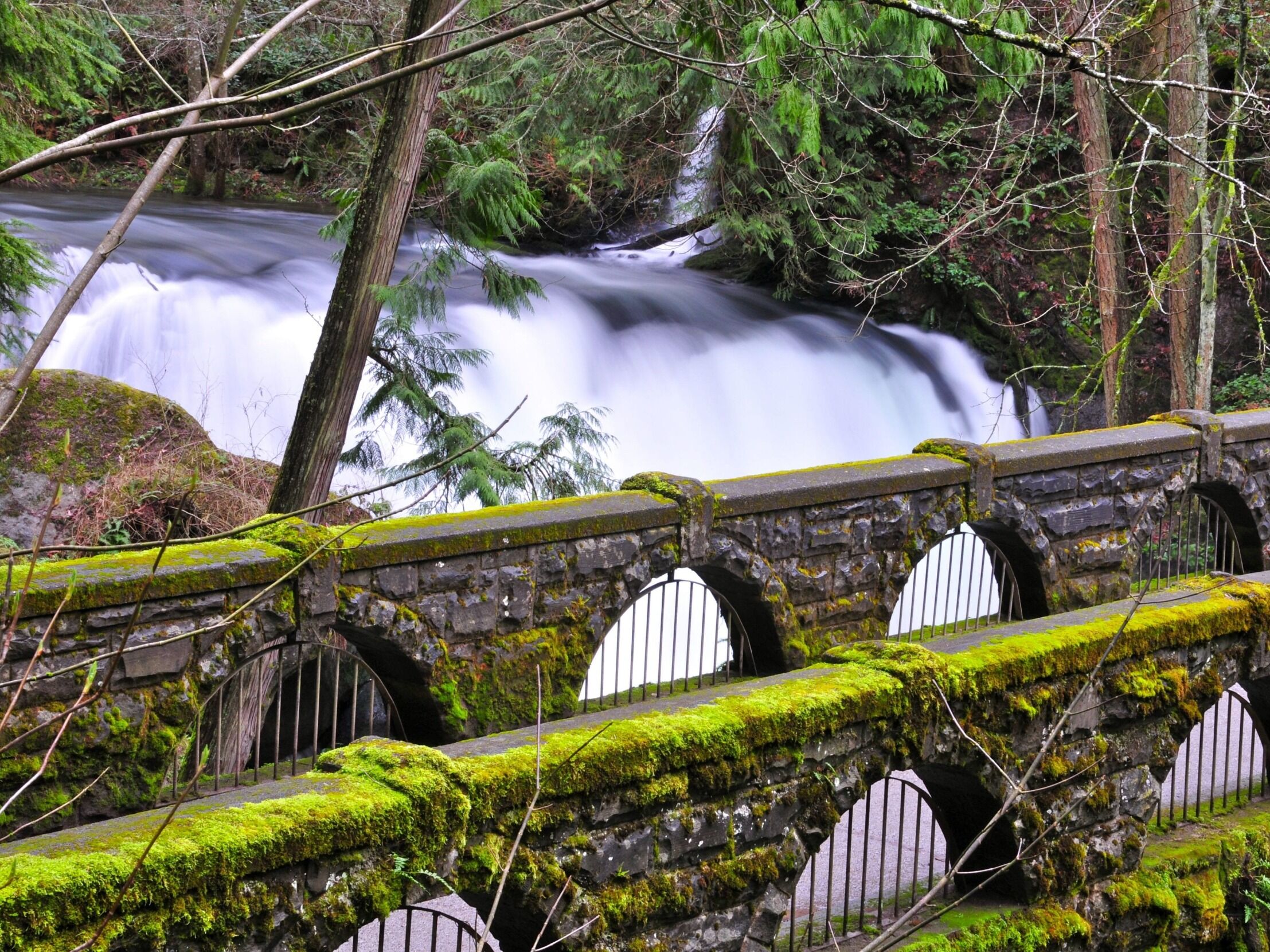 Picture of Whatcom Falls Park