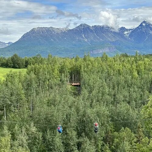 Picture of Alaska Zipline Adventure Park