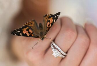 12 Stunning Butterfly Garden Wedding Venues That Impress