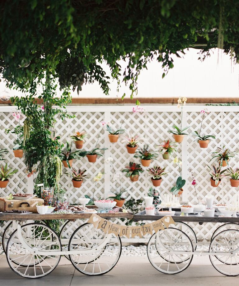 Orchid and plant wall display at wedding