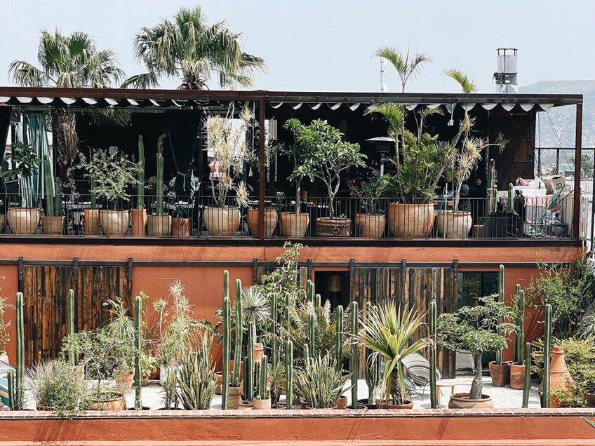 Picture of Terraza Los Amantes