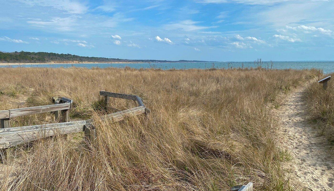 Picture of Kiptopeke State Park