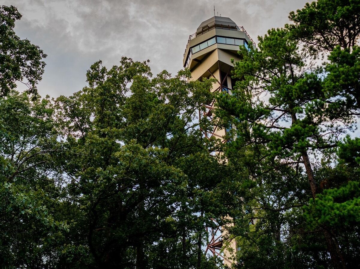 Picture of Hot Springs Mountain Tower