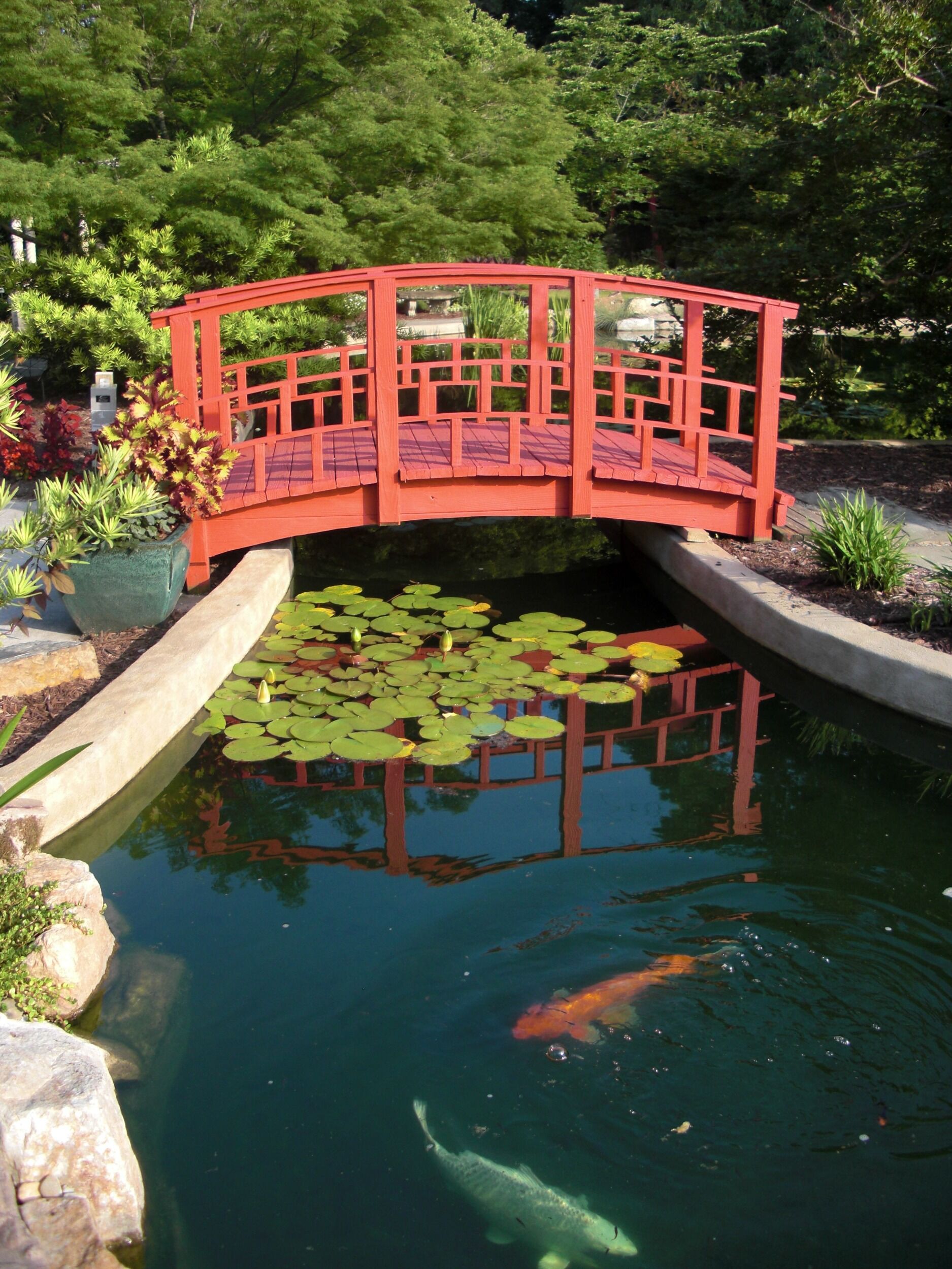 Picture of New Hanover County Arboretum | N.C. Cooperative Extension