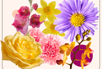 Collage of beautiful anniversary flowers. 