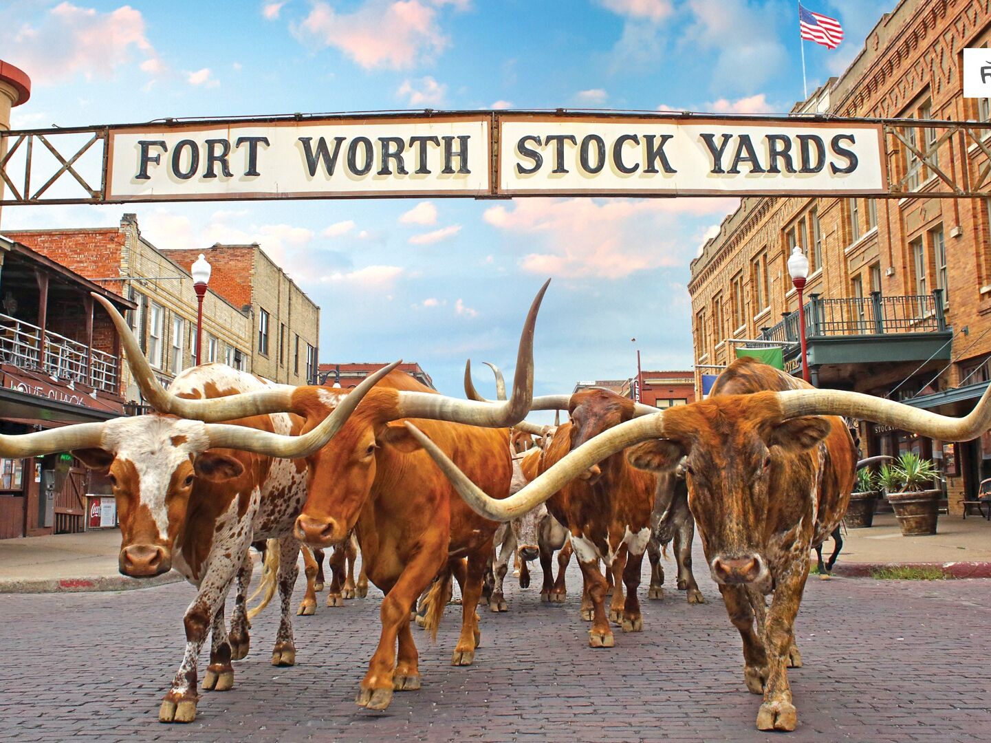 Picture of Fort Worth Stockyards