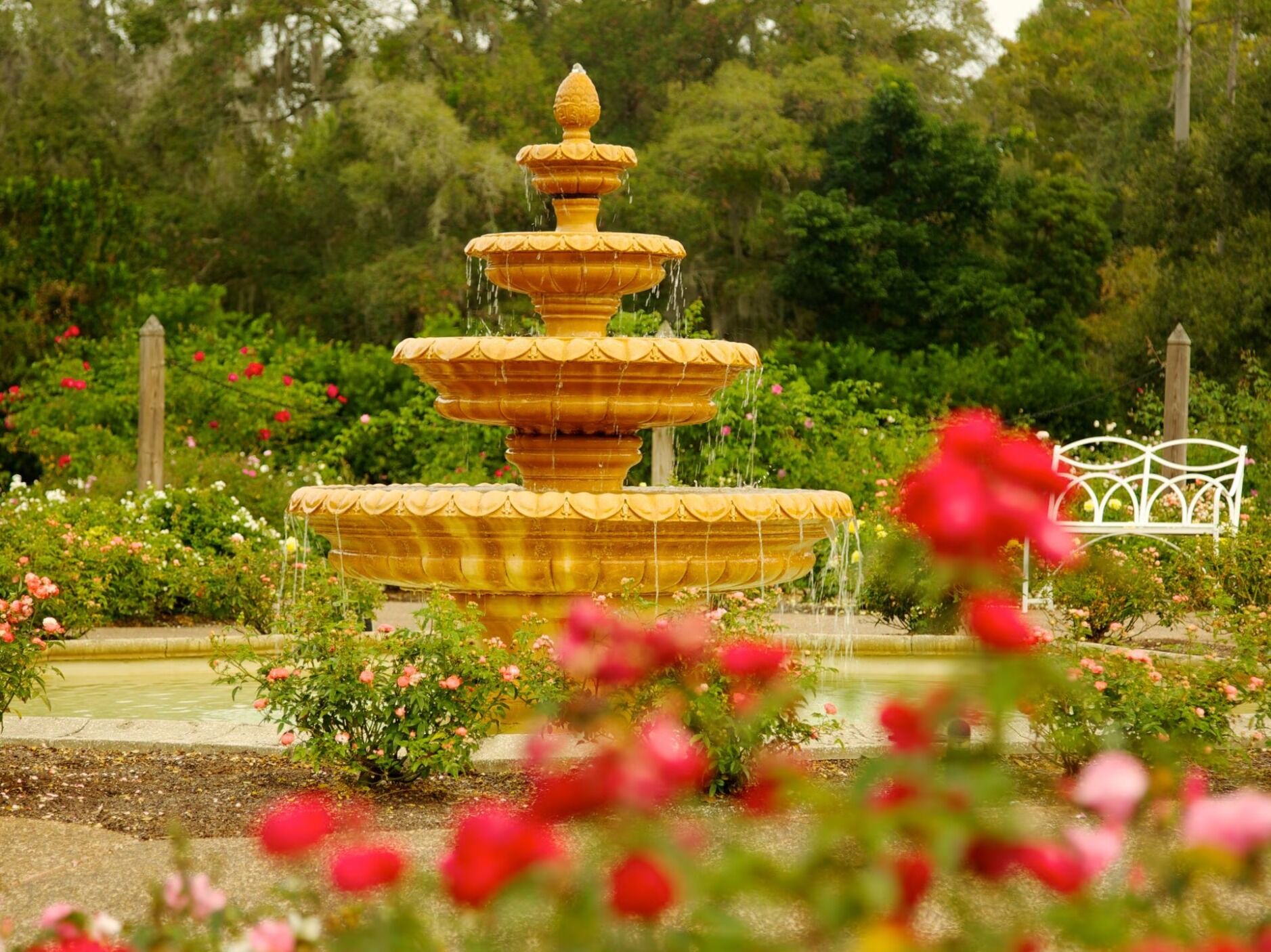 Picture of Harry P Leu Gardens