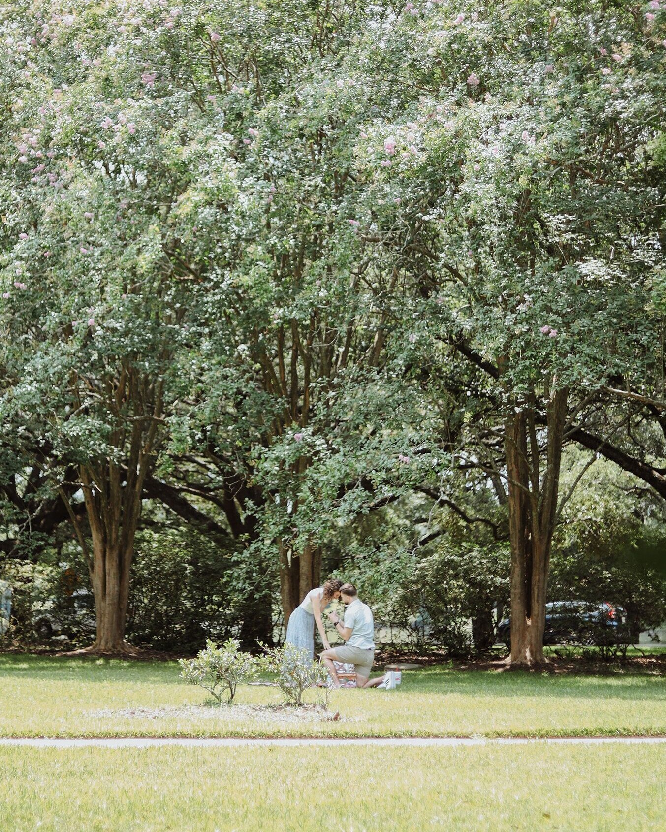 Meghan & Skylier Home Page Banner