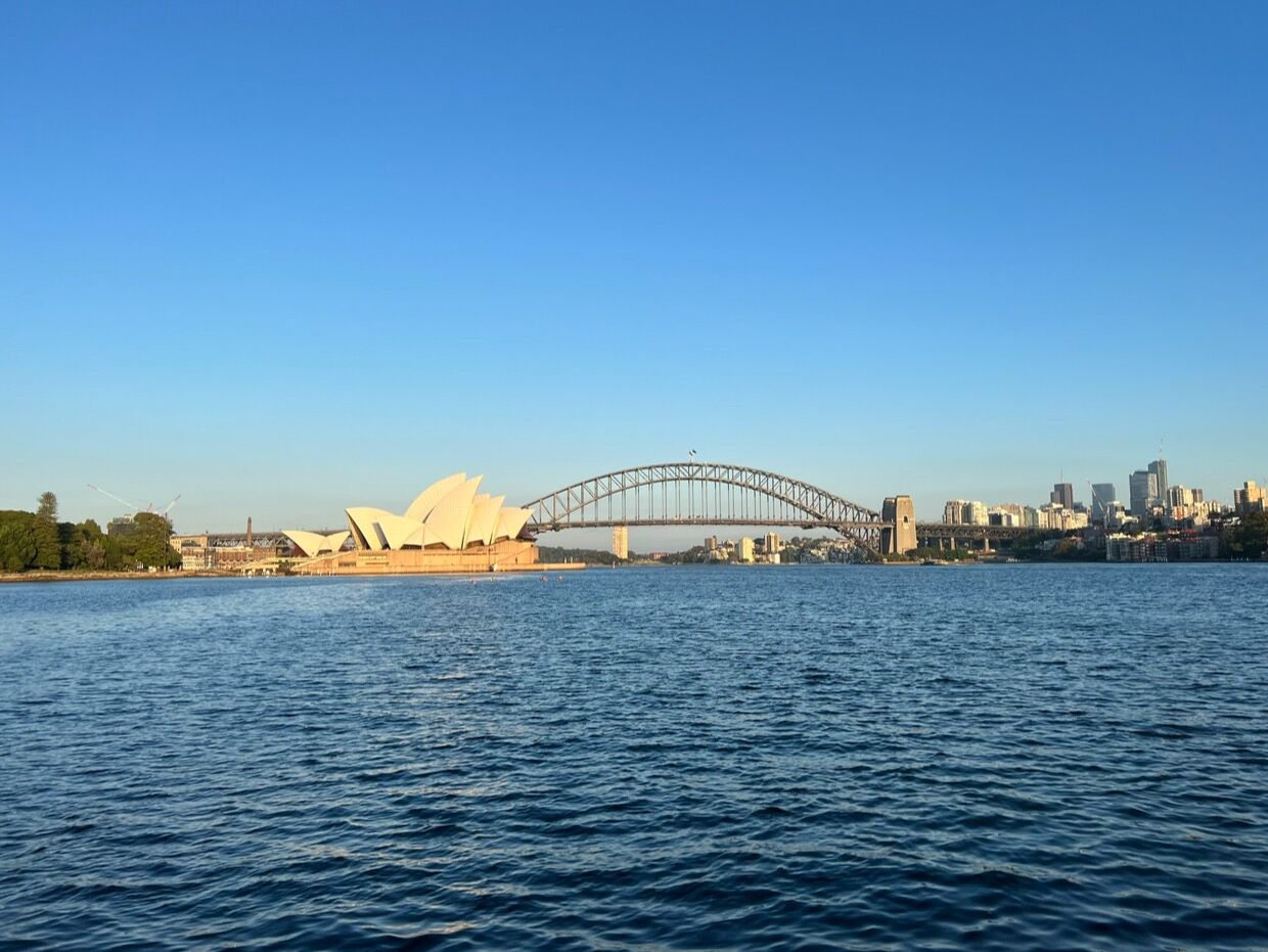Picture of Mrs Macquarie's Chair