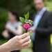 Purple Zinnia Boutonniere