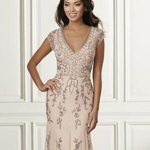 Gallery Photo 383