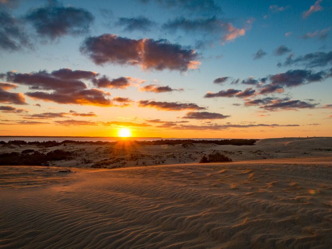 Picture of Jockey's Ridge State Park