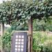 Wooden Board with Escort Cards