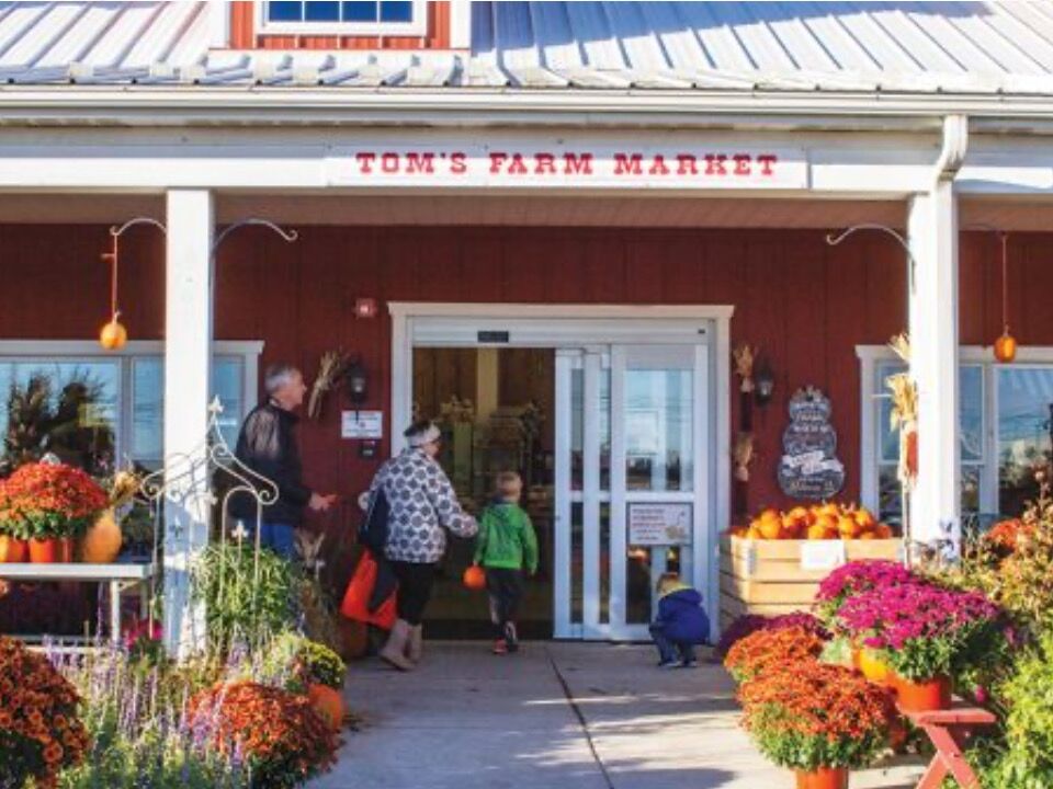 Picture of Tom's Farm Market