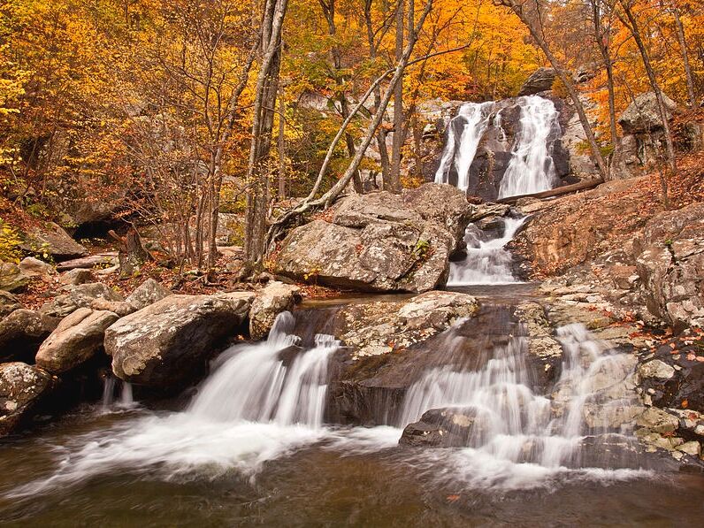 Picture of Whiteoak Canyon Falls Lower Trailhead