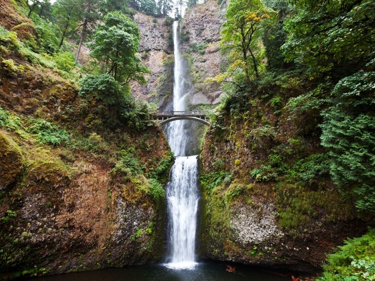Picture of Multnomah Falls