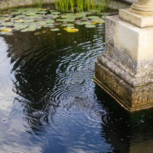 Gallery Photo 18