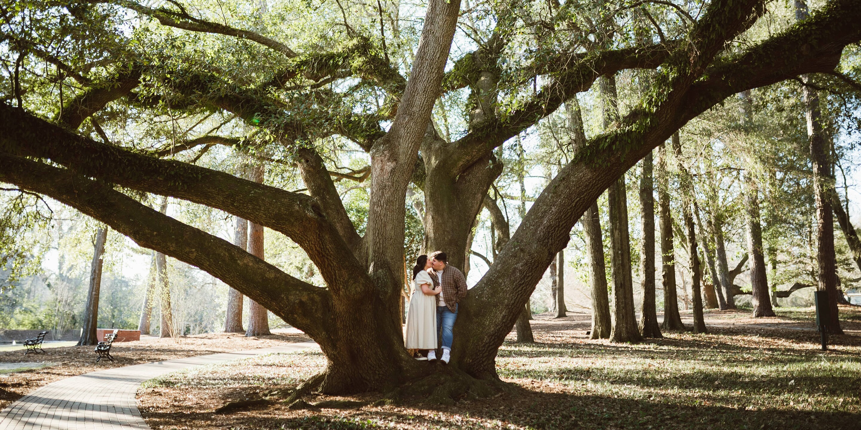 Jonah & Emily Home Page Banner