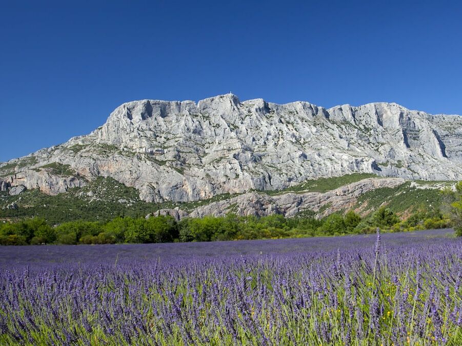 Picture of La Sainte-Victoire