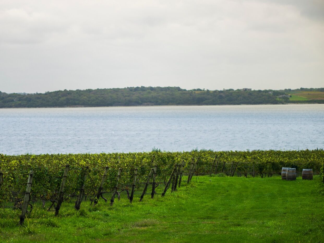 Picture of Greenvale Vineyards
